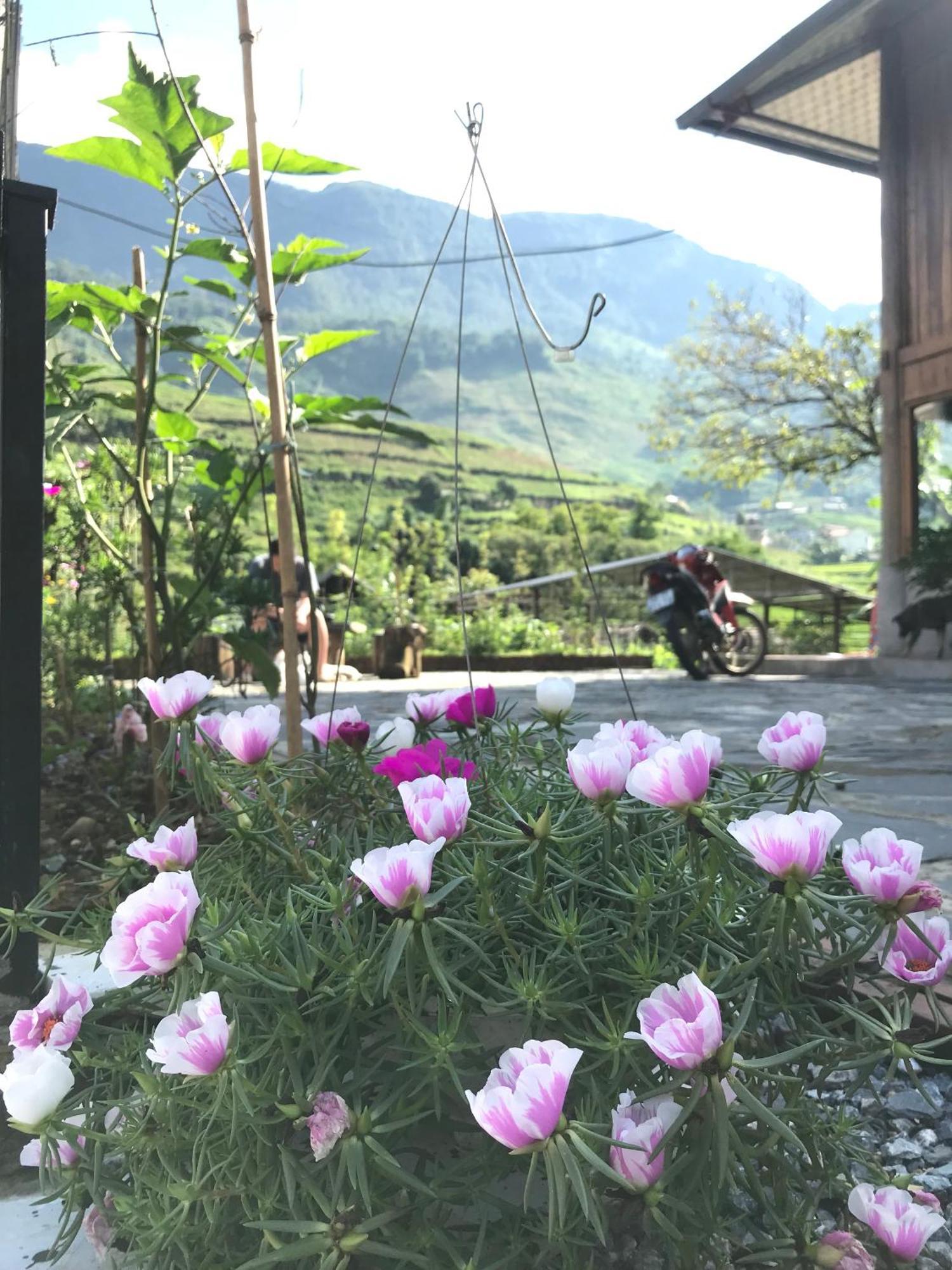 Little Ta Van Homestay Шапа Екстер'єр фото